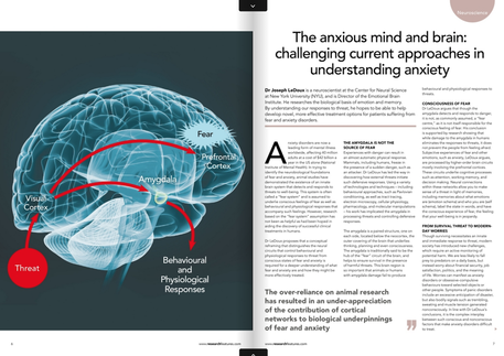 the brain and anxiety